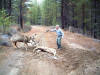 Oregon Deer