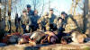 Hog Hunt