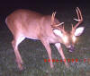 Daniel Spears Harvested 8 point