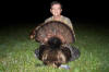 Wayne Boudreaux