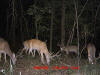 Copiah County