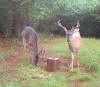 Walthall County