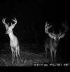 Lawrence County Bucks