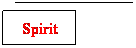 Line Callout 1: Spirit

