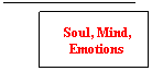 Line Callout 1: Soul, Mind, Emotions
