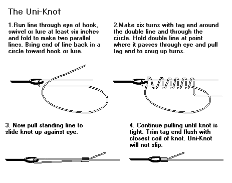 uniknot1.gif